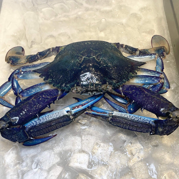 GREEN BLUE SWIMMER CRAB RAW 450G PER PIECE