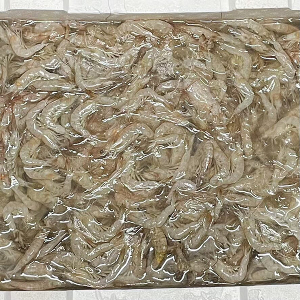 SCHOOL PRAWNS RAW