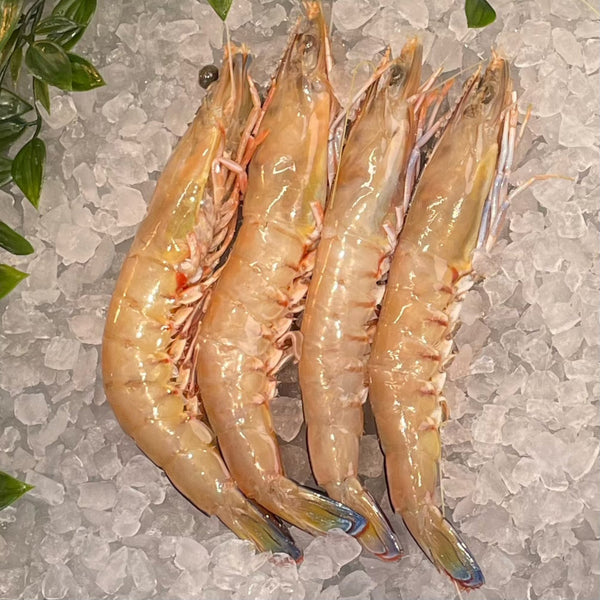 Green King Prawns Large U10/15 Per 500g