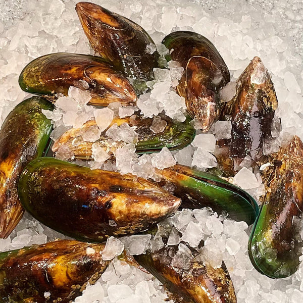 NEW ZEALAND GREEN MUSSELS