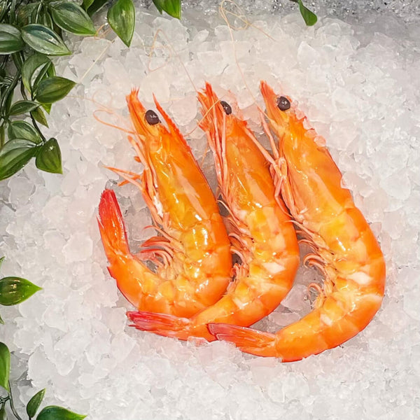 LARGE FRESH KING PRAWNS COOKED