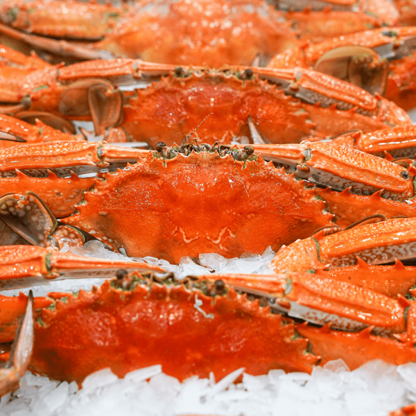 BLUE SWIMMER CRAB COOKED MALE 380G PER PIECE